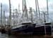 Shrimpboatsatdock