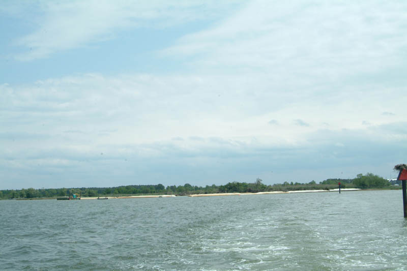 DSCF0523