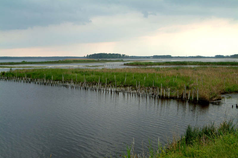 DSCF0579