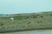 DSCF0532