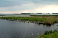 DSCF0579
